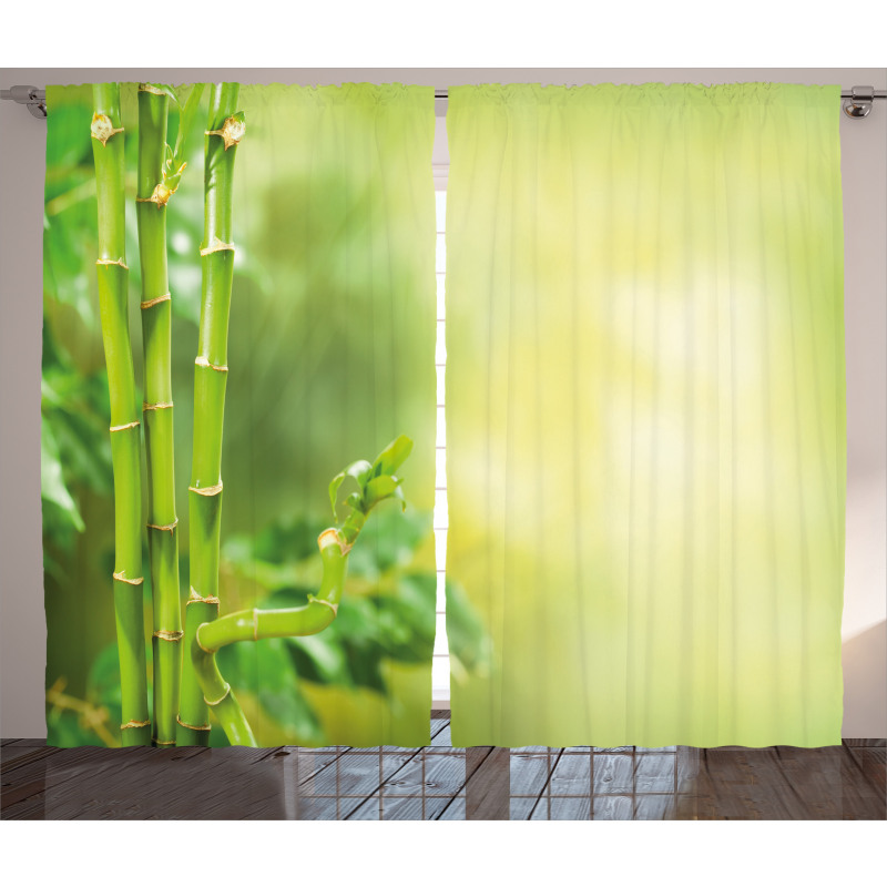 Bamboos Green Trees Curtain