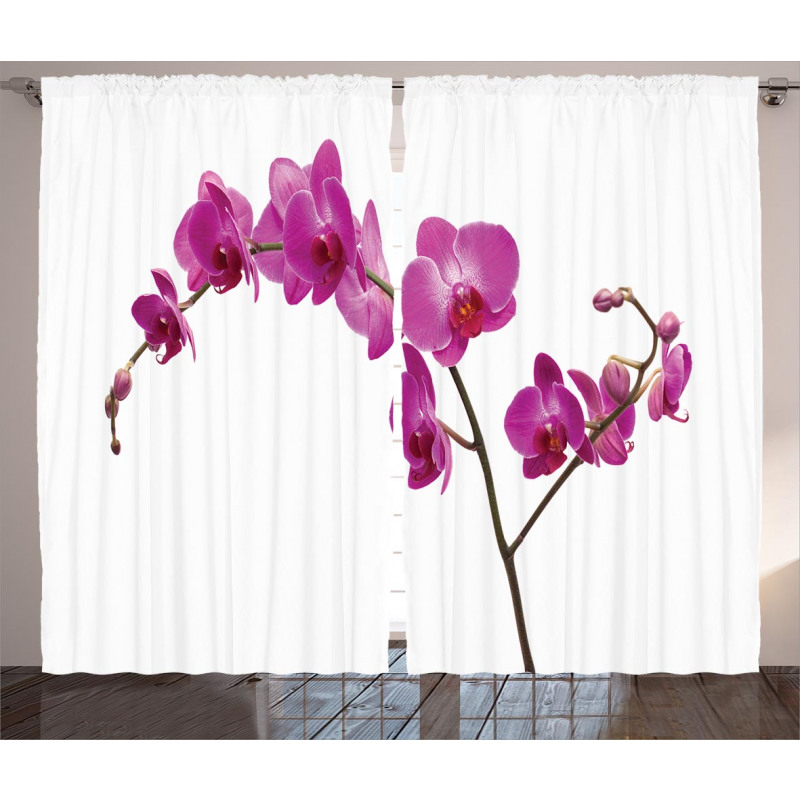 Wild Orchids Petals Curtain