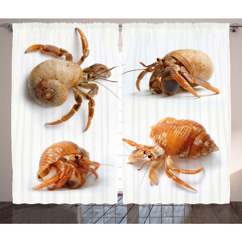 Hermit Crabs Pattern Curtain