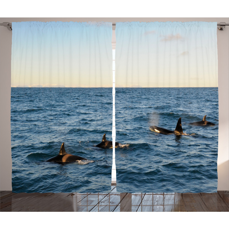 Whales in SeOcean Curtain