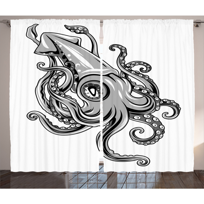 Animal Cuttlefish Sea Curtain