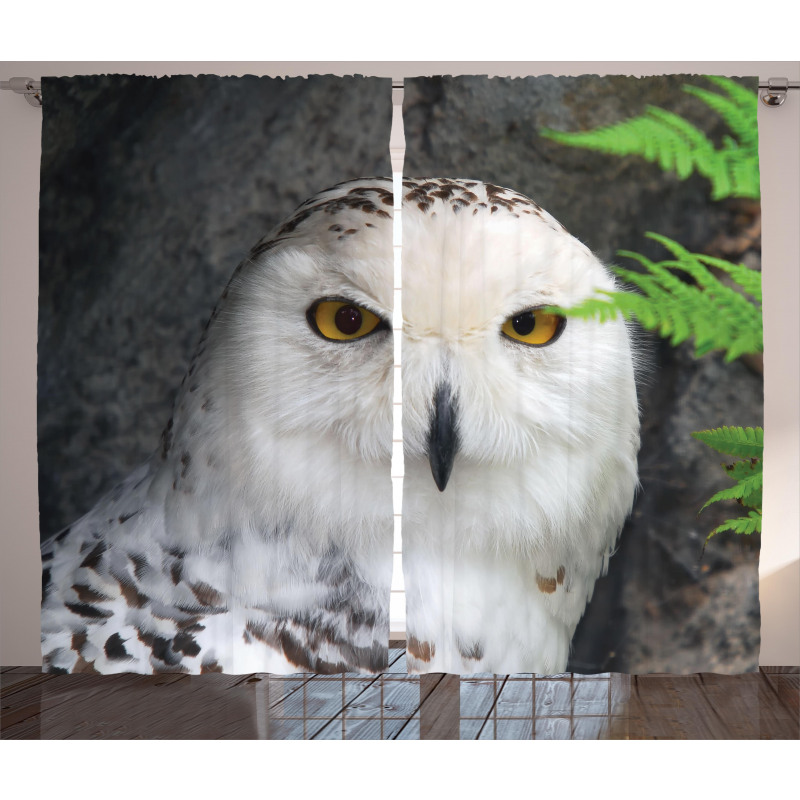 Magician Pet White Owl Curtain