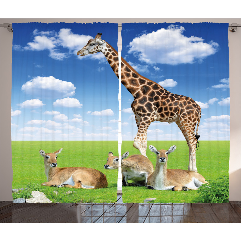 Zoo Animals Curtain