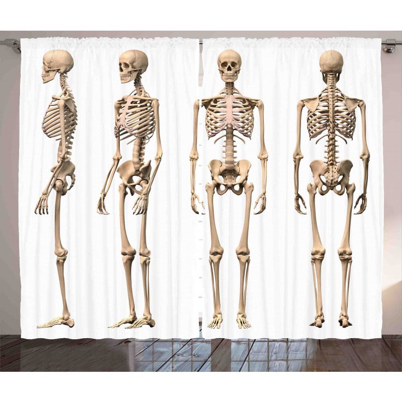 Medical Skeleton Curtain