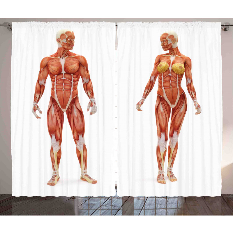 Male Human Body Curtain