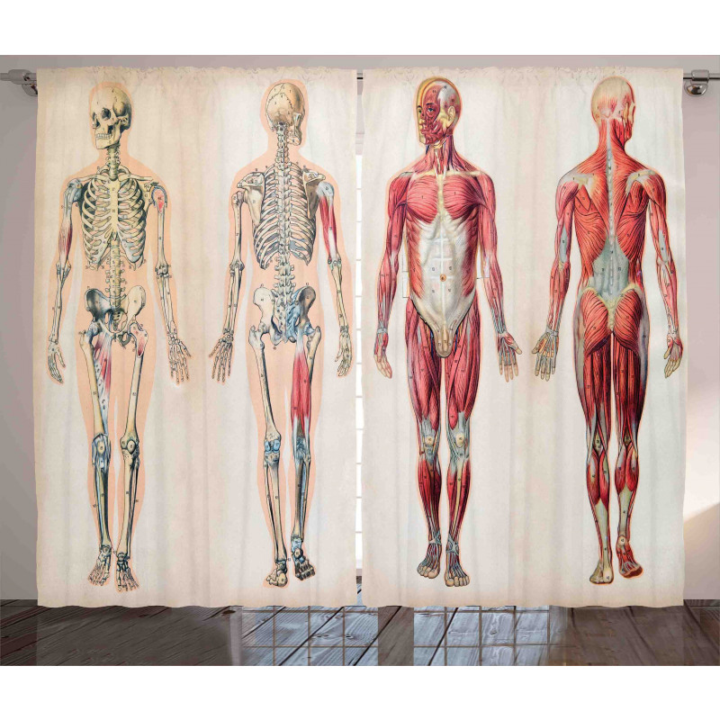 Anatomy Human Body Curtain