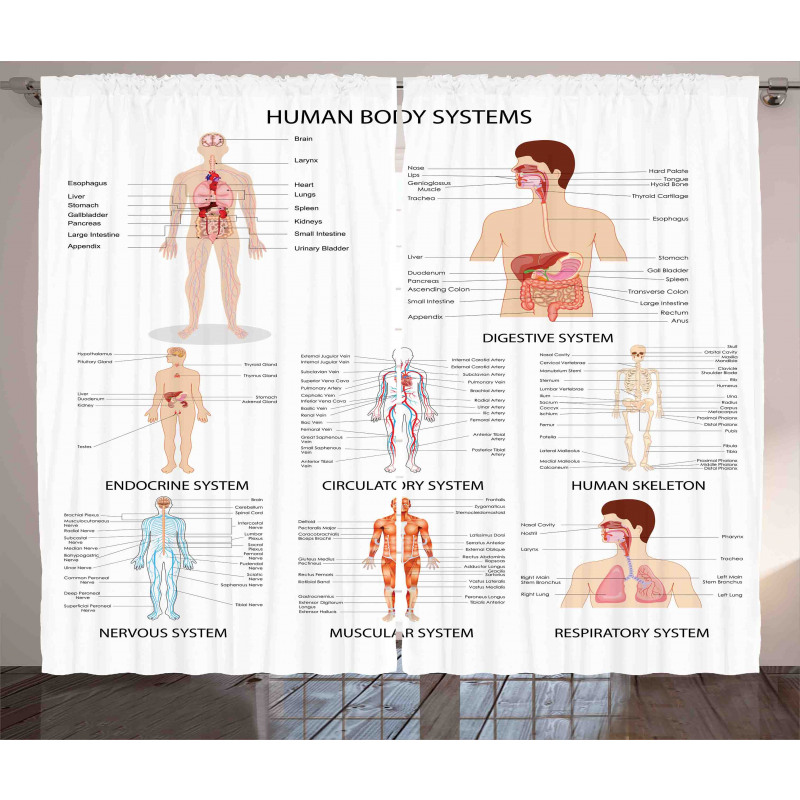 Different Bodies Curtain