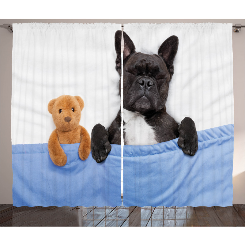 French Bulldog with Bear Curtain