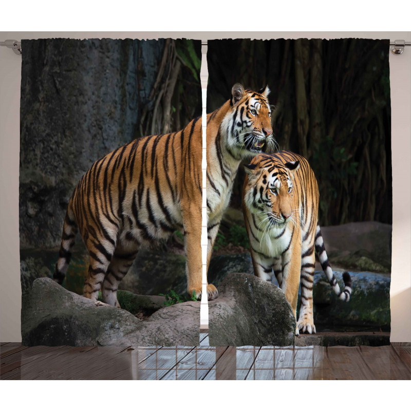 Tiger Couple in Jungle Curtain