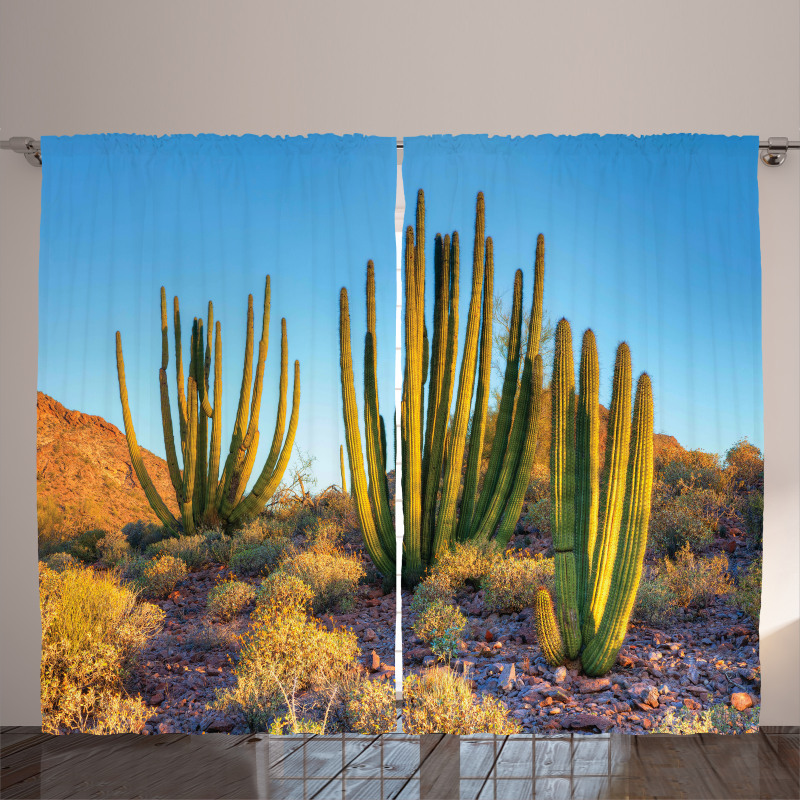Mountain Cactus Photo Curtain