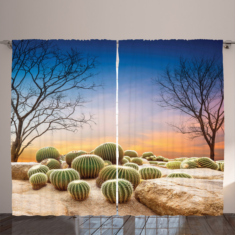 Cactus Balls on Mountain Curtain