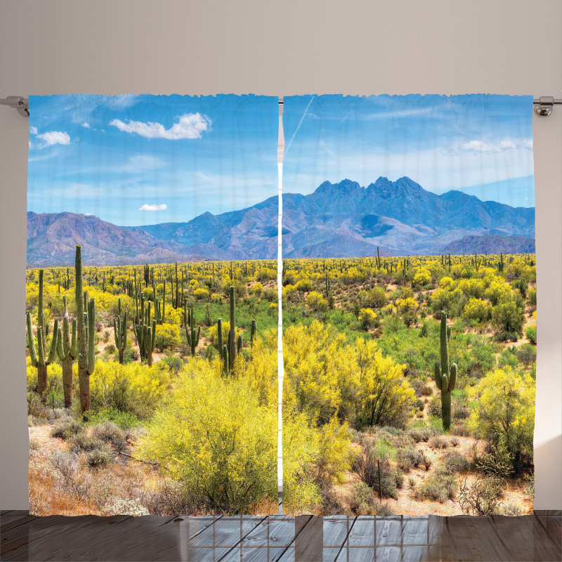 Landscape of Desert Curtain