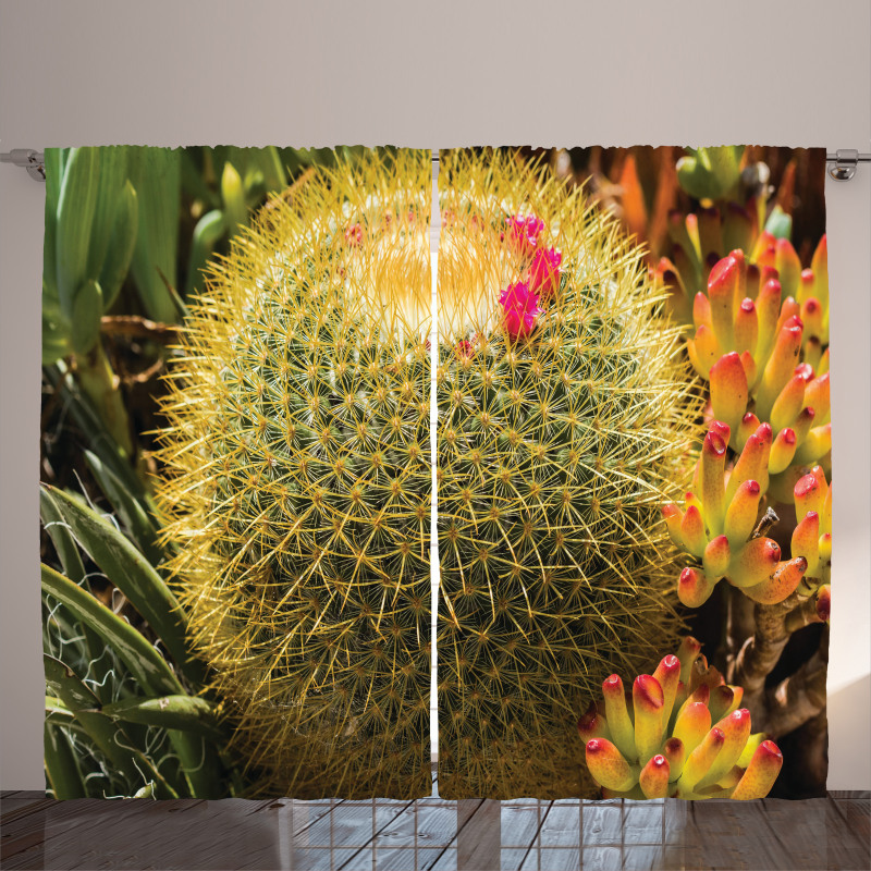 Cactus Plant with Spikes Curtain