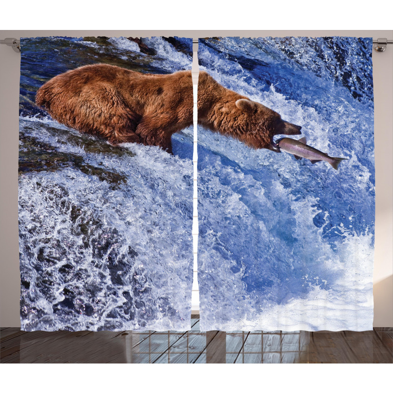 Grizzly Bear at Katmai Curtain