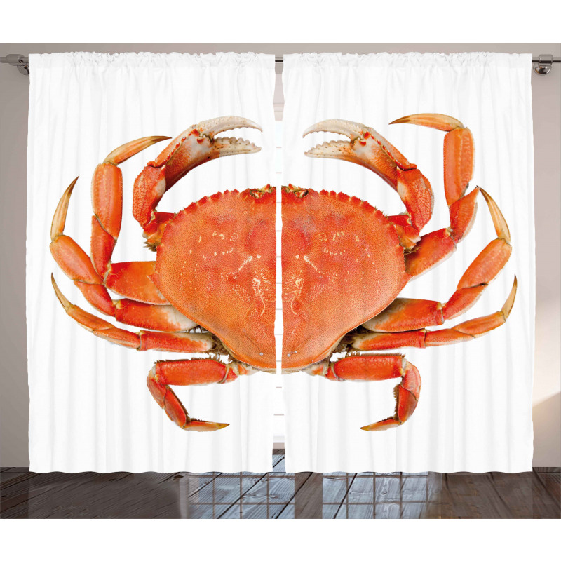 Cooked Dungeness Crab Curtain