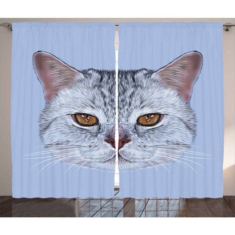 Scottish Hipster Kitty Pet Curtain