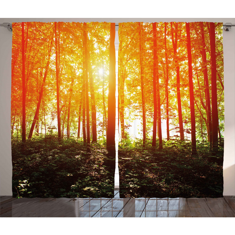 Foggy Forest Scenery Curtain