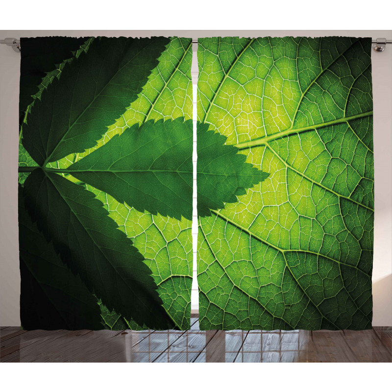 Brazilian Tree Leaf Eco Curtain