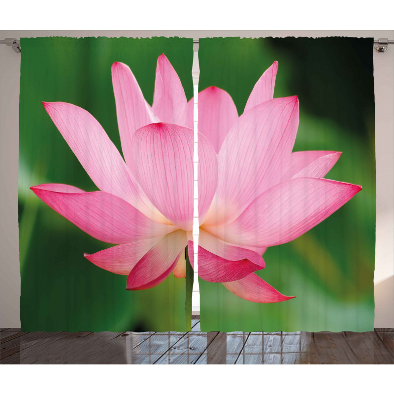 Lotus Lily Blossom Curtain