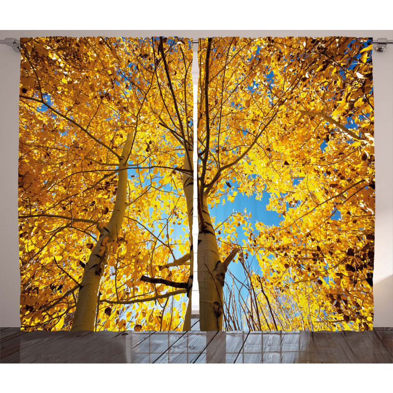 Autumn Trees Leaf Forest Curtain