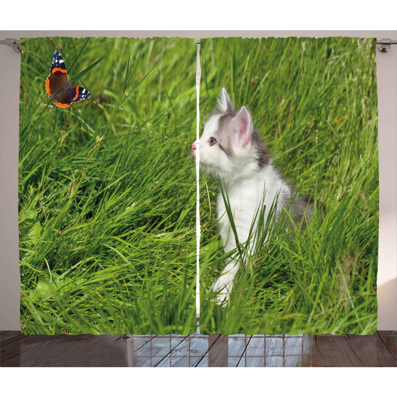 Cat and Butterfly Curtain