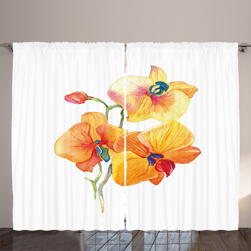 Orchid Petal Wild Exotic Curtain