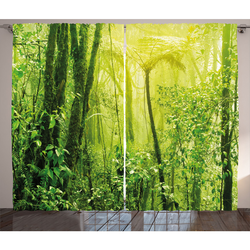 Tropical Amazon Forest Curtain