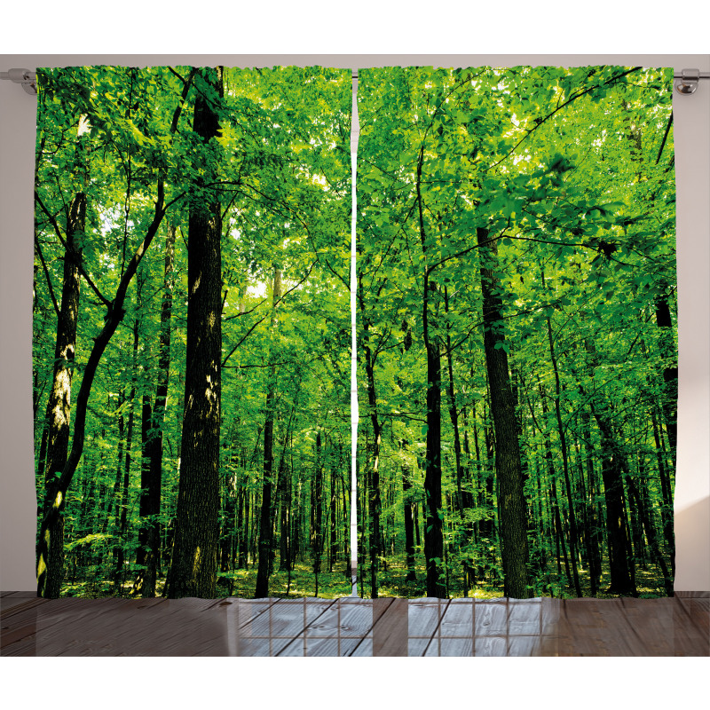 Woodland Tree Forest Sun Curtain