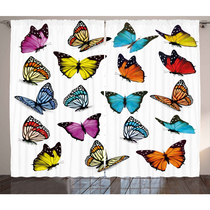 Butterflies Composition Curtain