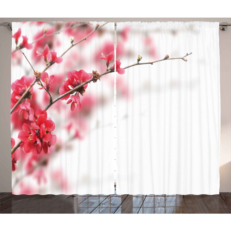 Cherry Blossoms Misty Curtain