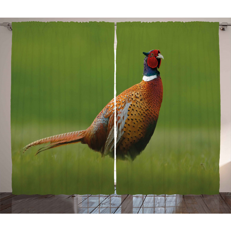 Pheasant Long Tail Meadow Curtain