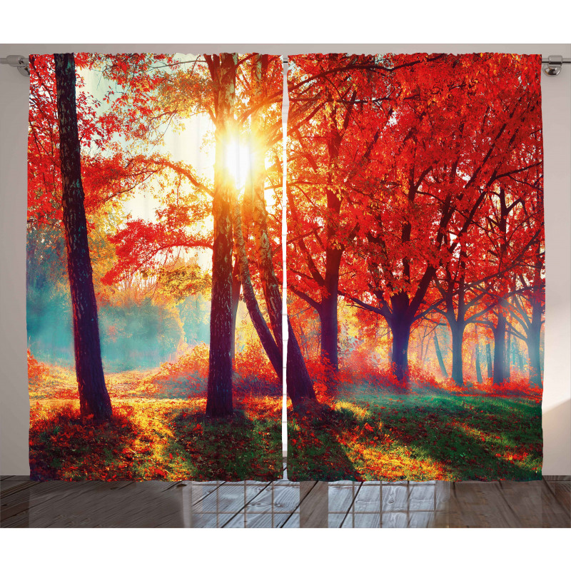 Foggy Autumnal Park Scenic Curtain