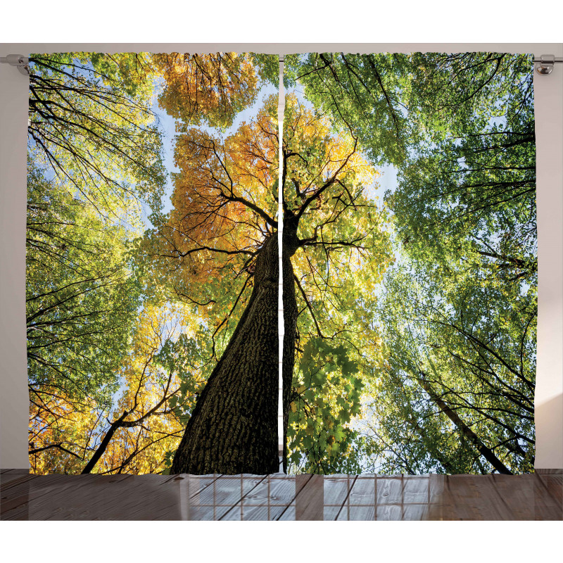 Forest Autumn Growth Eco Curtain
