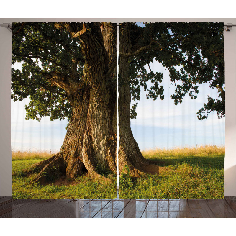 Majestic Oak Estonia Rural Curtain
