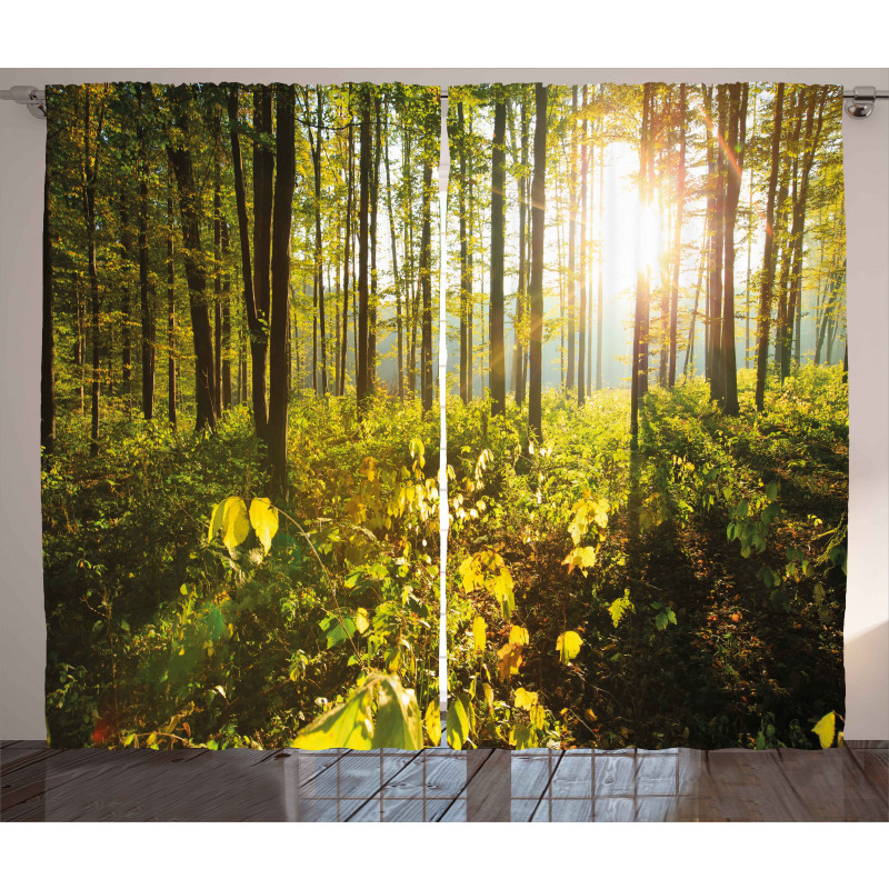 Sun Rays Woods Foliage Curtain