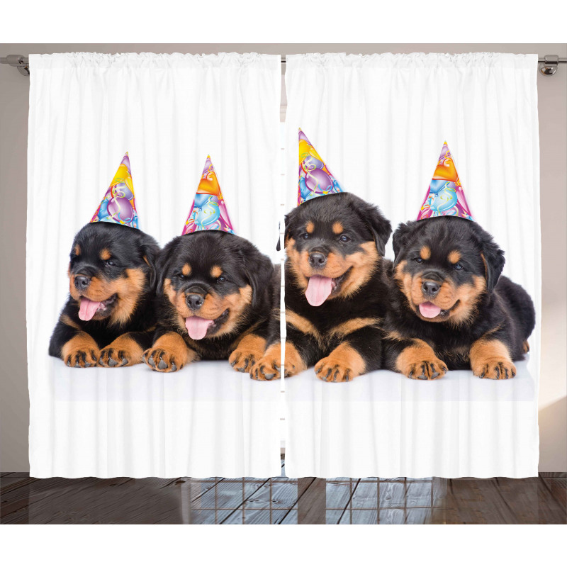 Birthday Dogs Hats Curtain