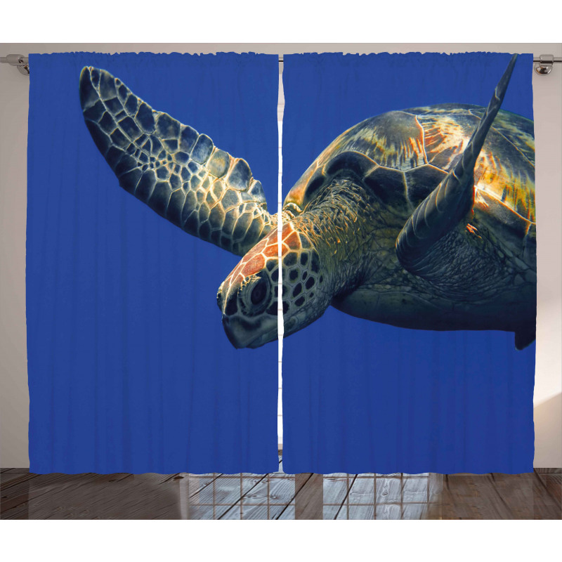 Sea Animal Swimming Curtain