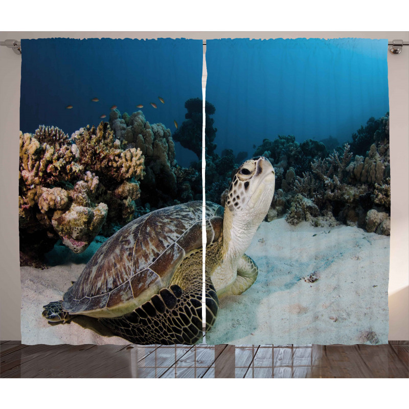 Turtle Coral Reef Curtain