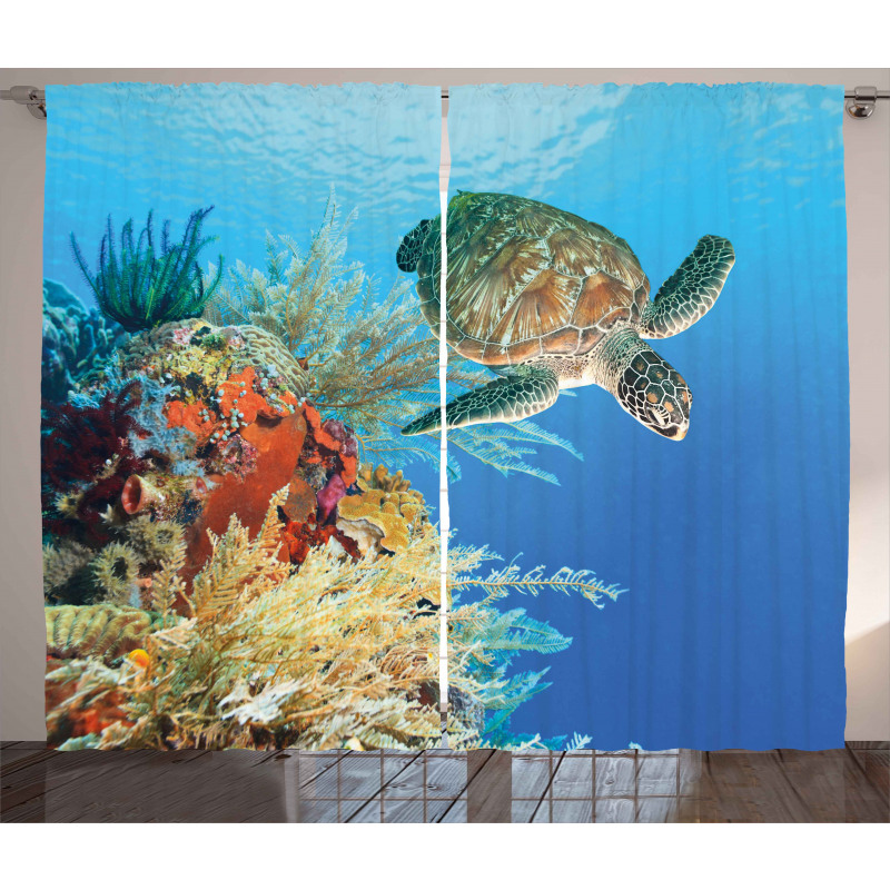 Exotic Turtle Coral Curtain