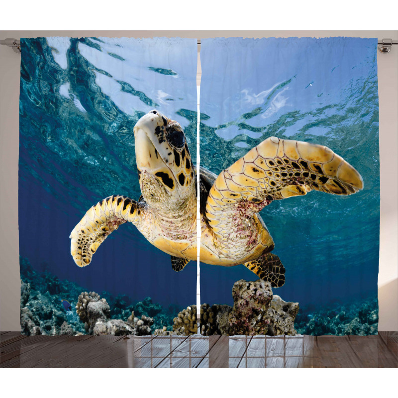 Hawksbill Sea Turtle Curtain