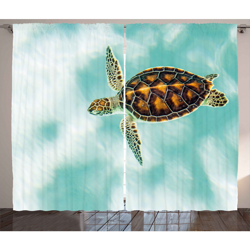 Endangered Baby Turtle Curtain