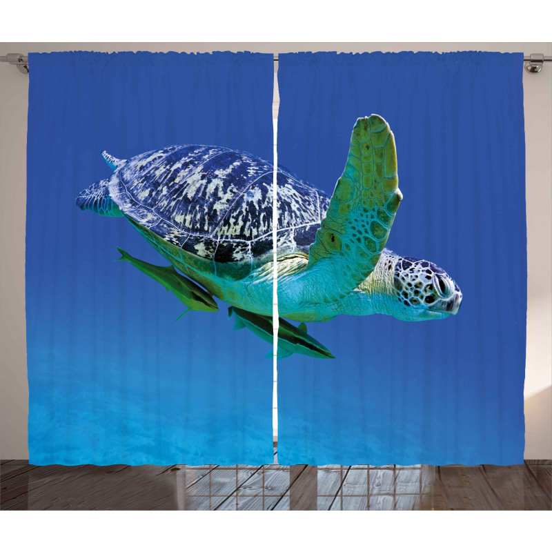 Tropics Turtle Aquarium Curtain