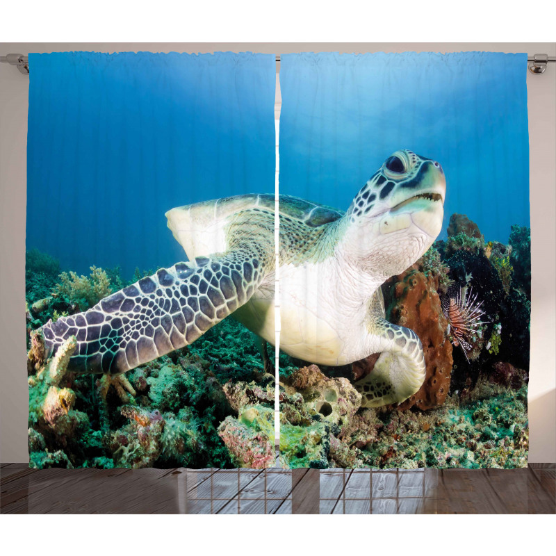 Green Turtle Coral Curtain
