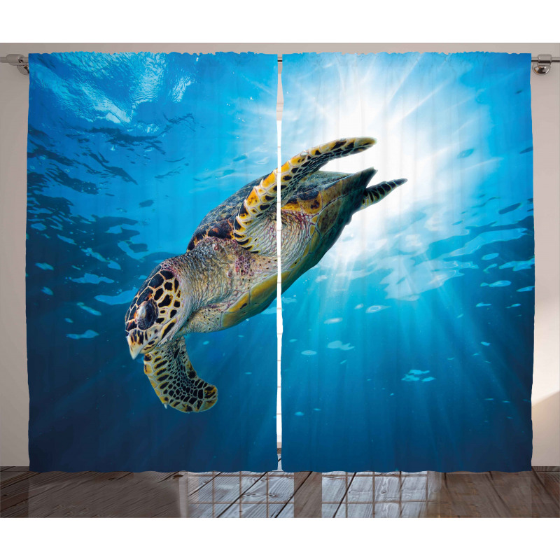 Sea Turtle Diving Curtain