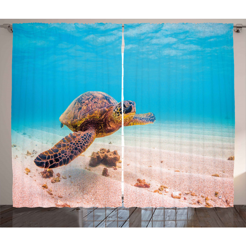 Sea Turtle Underwater Curtain