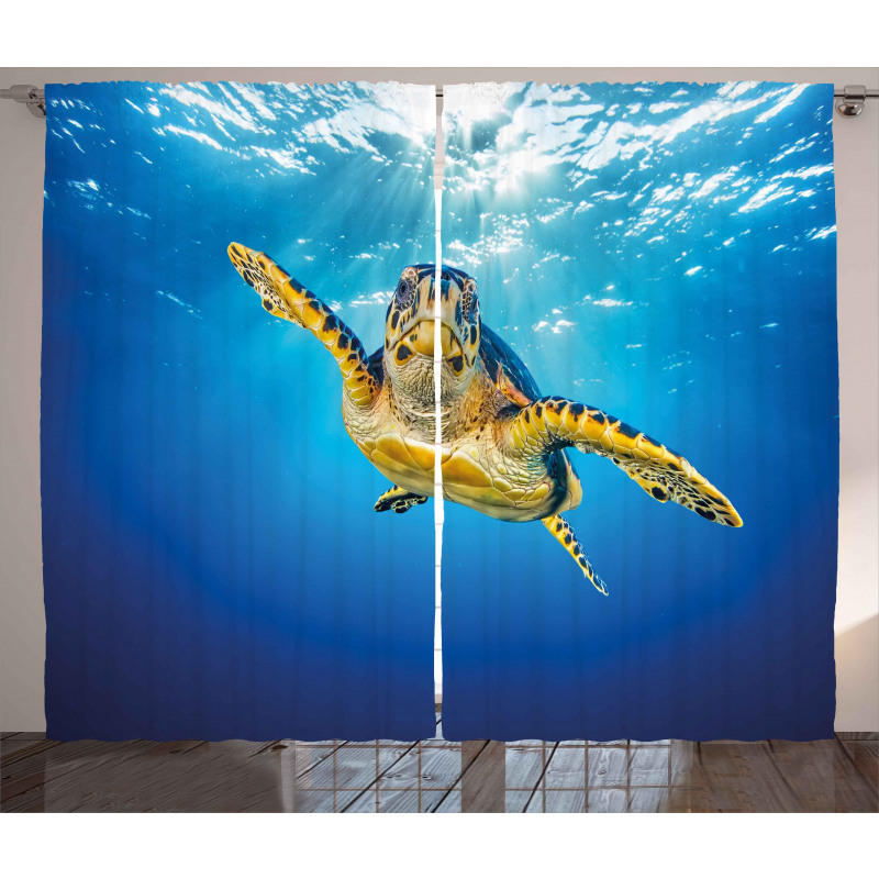 Blue Waters Swimming Curtain