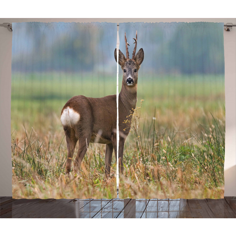 Deer Wildlife Curtain