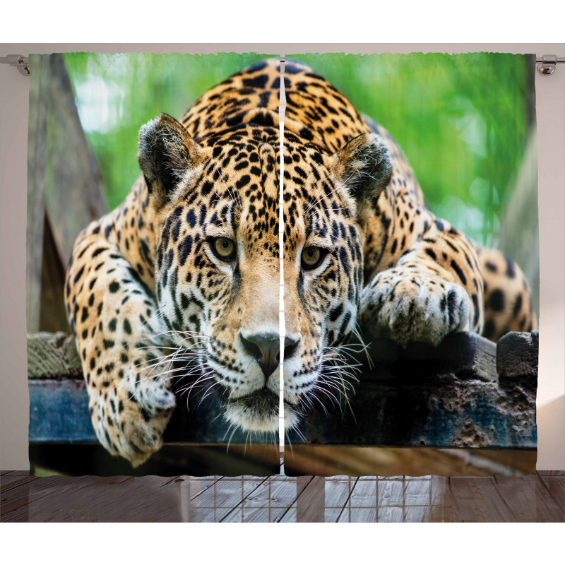 Jaguar Wildcat Feline Curtain