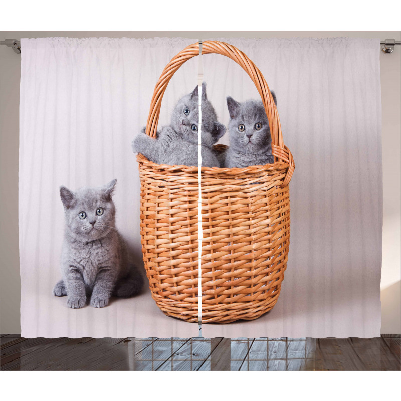 British Cats in Basket Curtain