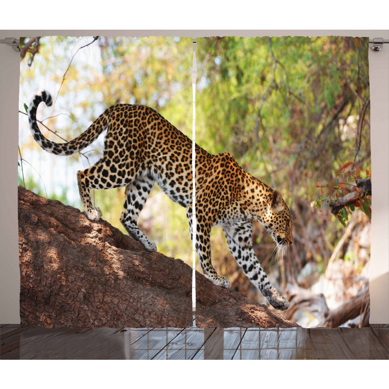 Leopard Tree Nature Reserve Curtain